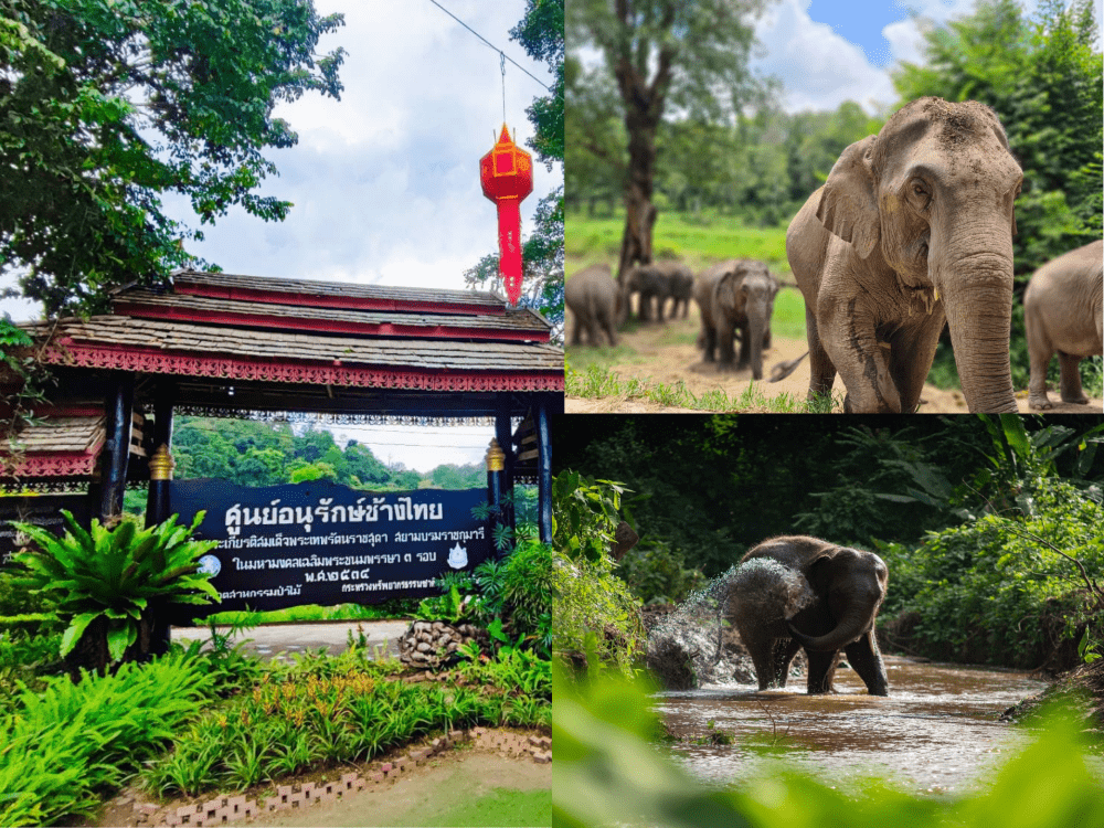 ลำปาง ความสุข9.png